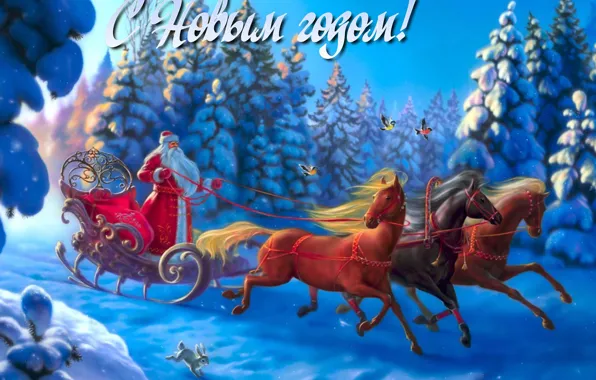Picture winter, forest, snow, birds, holiday, tree, horse, Santa Claus