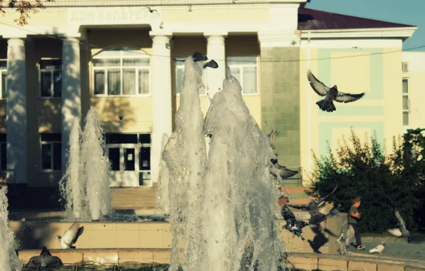 The sun, pigeons, fountain
