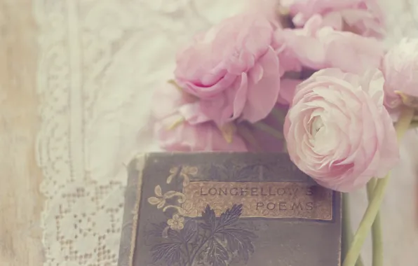 Flowers, petals, book, pink, white, buds, buttercups, ranunculus