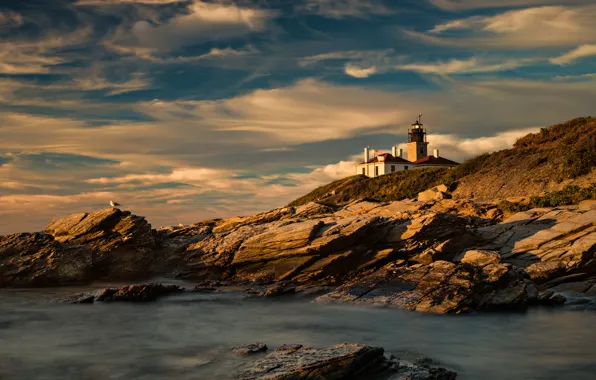 Sea, rocks, shore, lighthouse