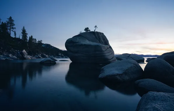 Sea, trees, sunset, stones, coast, the evening, boulders