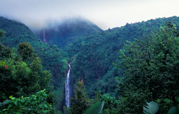 Picture mountains, waterfall, national Park, Guadeloupe