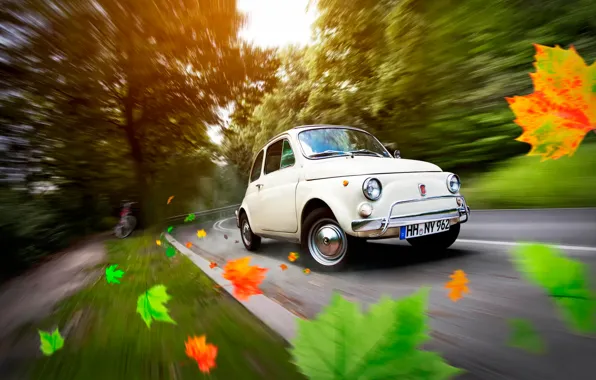 Picture road, autumn, leaves, car, Germany, Fiat 500, Hamburg