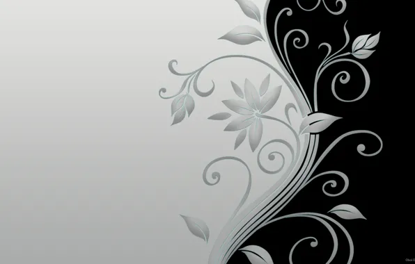 Flowers, Black, Leaves, Grey
