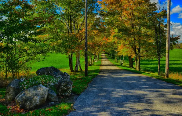 Road, autumn, grass, trees, stones