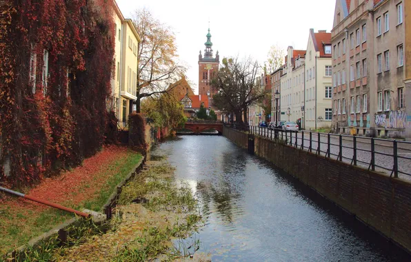 City, river, building, canal