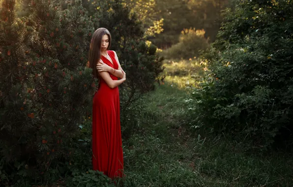 Hair, Girl, dress, shrubs, Albert Forest