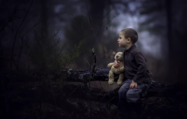Picture forest, toy, boy