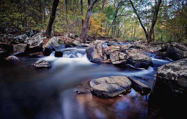 Landscape, nature, river, stones