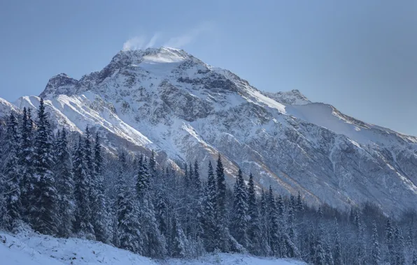 Winter, Snow, Mountain