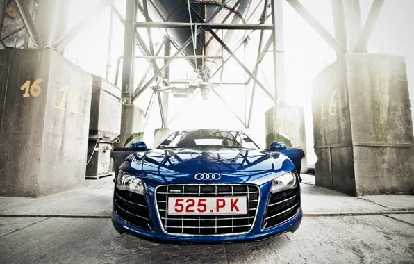 Audi, Auto, Machine, Lights, Plant, The front