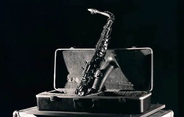 Picture music, case, saxophone, The Jazz Series