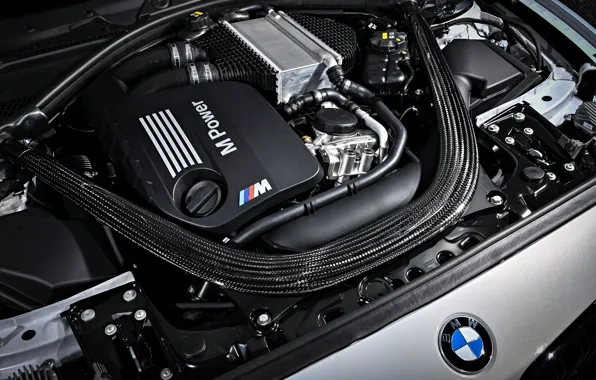 Engine, coupe, BMW, 2018, under the hood, F87, M2, M2 Competition