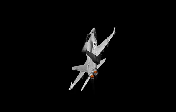 Picture weapons, the plane, FA-18C Hornet