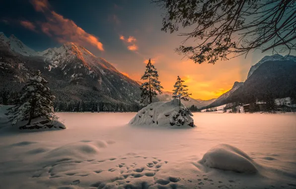 Winter, snow, sunset, mountains, branches, Germany, Bayern, Alps