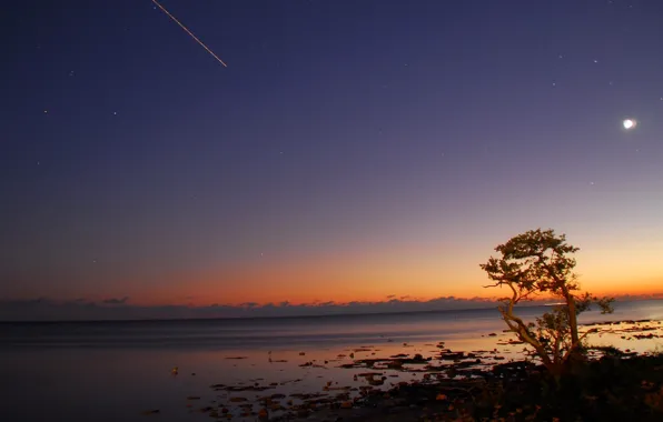 Sea, the sky, stars, sunset, tree, the moon, horizon, the car