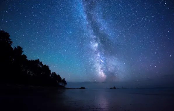 Picture sea, stars, night, shore, the milky way, starry sky