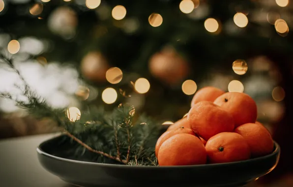 Picture branches, lights, the dark background, holiday, new year, blur, plate, Christmas