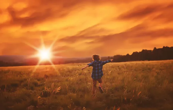 Picture field, the sun, running, child