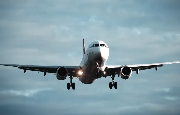 The sky, aviation, the plane, airport, Vnukovo