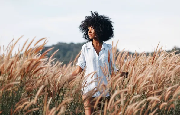 Sunset, Girl, Field, Girl, Hair, Sunset, Shirt, Field