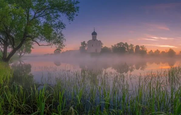 Picture grass, trees, landscape, nature, river, dawn, morning, Church