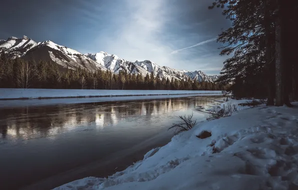 Winter, forest, river