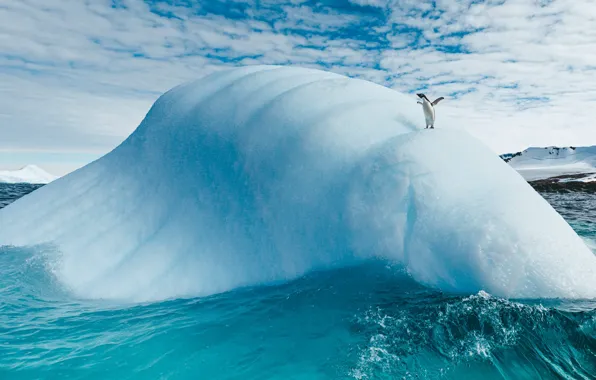 Winter, sea, wave, the sky, clouds, snow, nature, pose