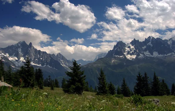 Picture forest, summer, the sky, grass, clouds, flowers, mountains, tops