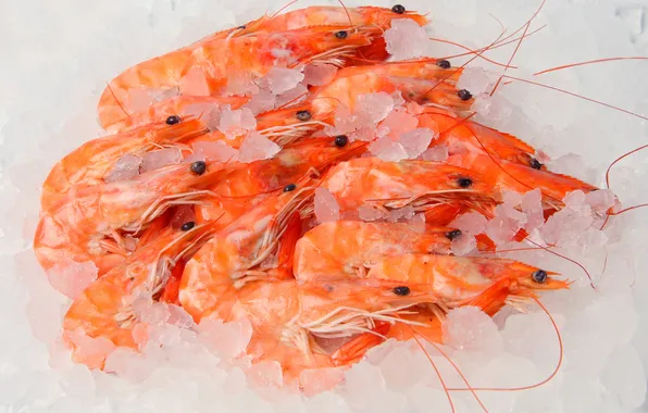 Ice, shrimp, seafood