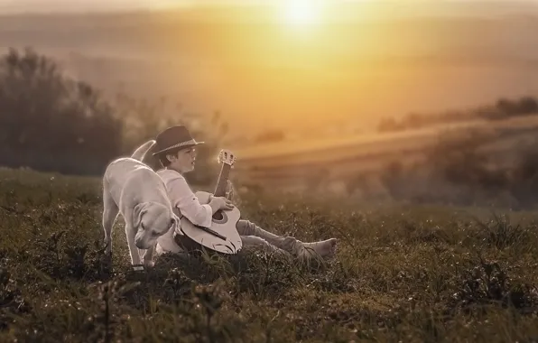 Picture guitar, dog, the evening, boy