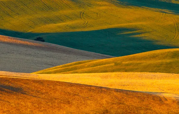 Picture nature, field, Italy, carpets, Tuscany