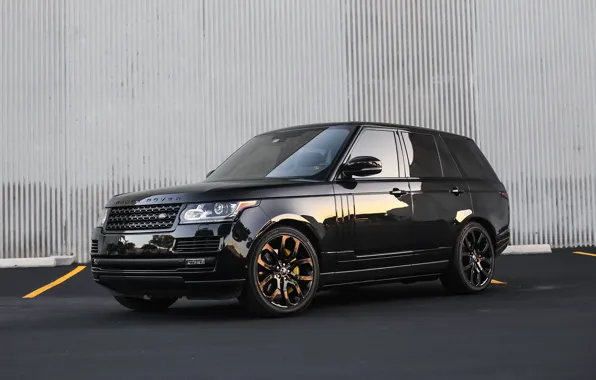 Lights, Range Rover, with, color, exterior, trim, smoked, matched