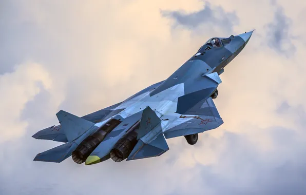 Picture fighter, Russia, T-50, multifunction, "PAK FA", Su-57