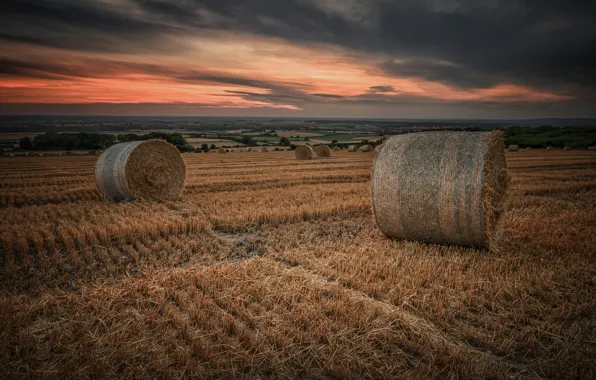 Field, the sky, hay, bales, straw, stubble, bales