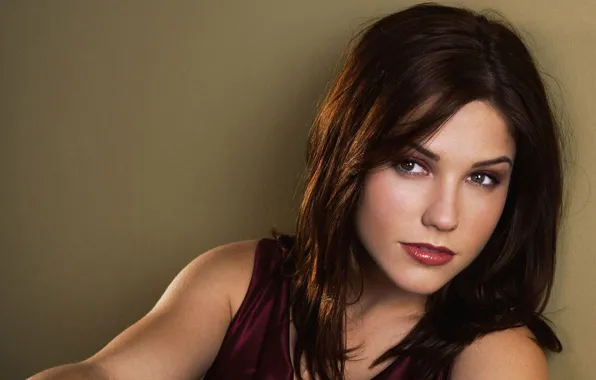 Picture look, face, movie, actress, brunette, the series, Sophia Bush