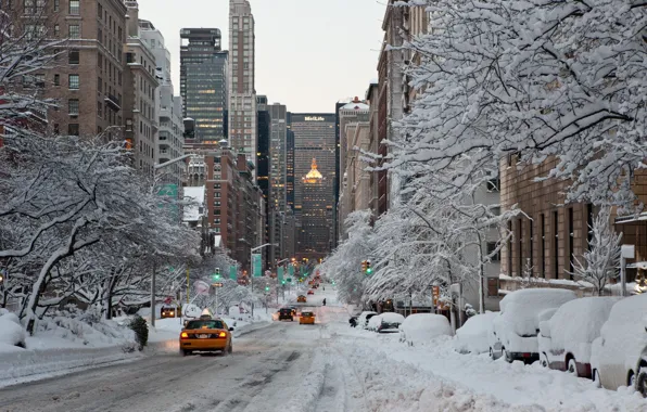 City, the city, USA, NYC, winter, New_York