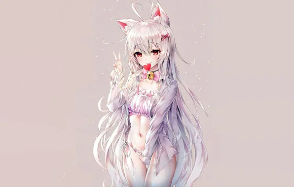 Girl, sexy, lingerie, pantsu, bra, panties, long hair, animal ears