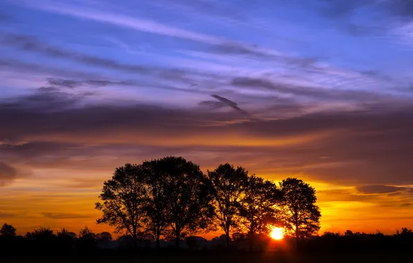 The sky, sunset, clouds, color