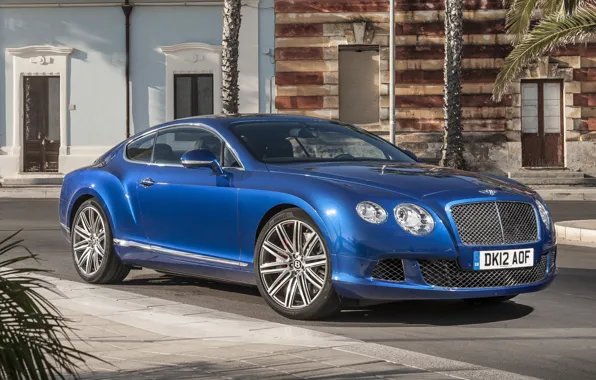 Picture blue, palm trees, background, street, coupe, Bentley, Continental, Bentley