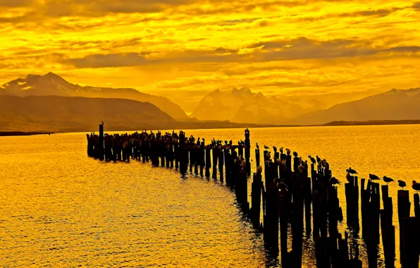 Landscape, mountains, birds, nature, lake, the evening, piles, golden sunrise