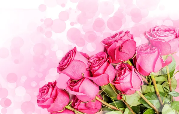 Flowers, bouquet, pink background, pink roses