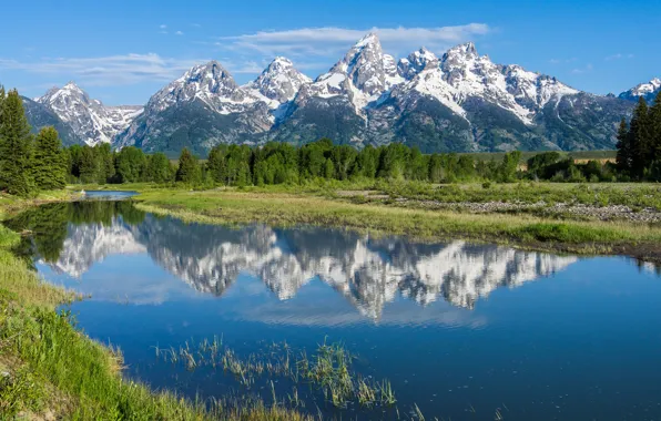 Trees, mountains, reflection, river, Wyoming, Wyoming, Grand Teton National Park, Rocky mountains
