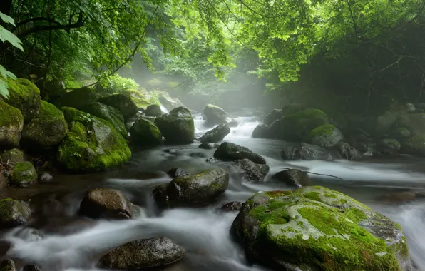 Water, river, stones, moss, threads