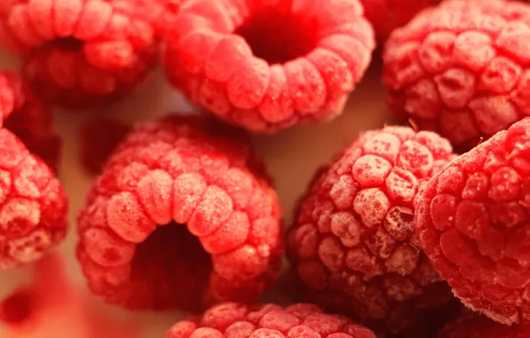 Macro, berries, raspberry