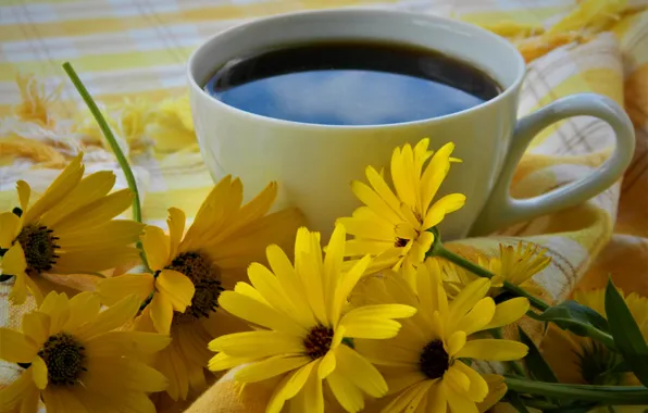 Flowers, coffee, Cup, still life