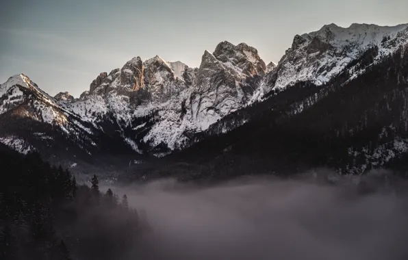 Winter, the sky, snow, trees, mountains, nature, fog, rocks