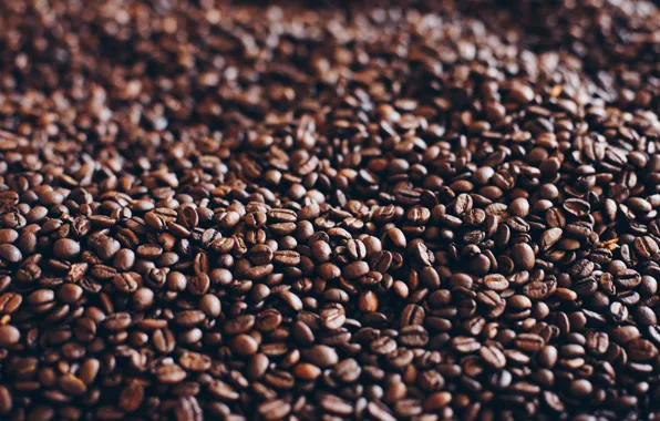 Grain, Coffee, A bunch, A lot, Coffee beans, Coffee, Close-up, Grain