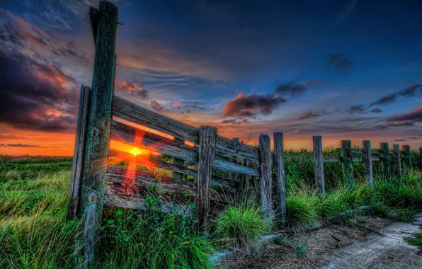 The sky, grass, the sun, clouds, rays, sunset, nature, the way