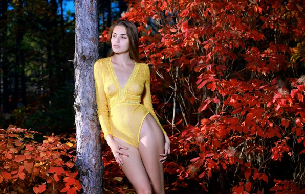 Nature, Model, See Through, Pose, It Tan, Bodysuit, Don't Cha Wish